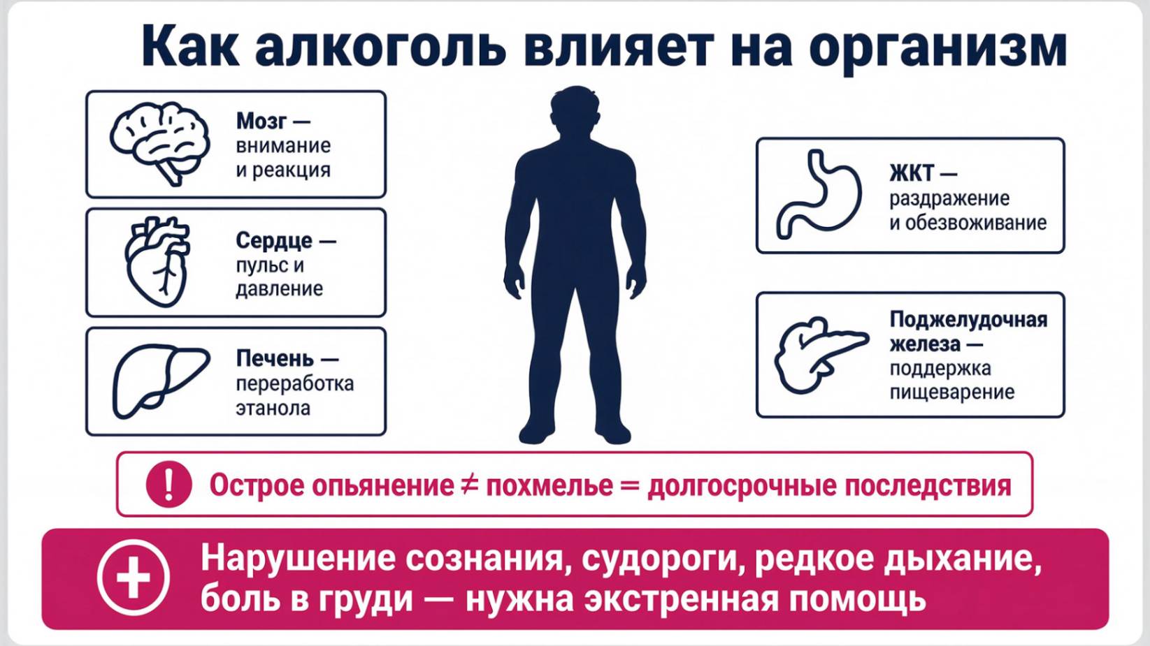 Инфографика как алкоголь влияет на организм, мозг, сердце, печень и пищеварительную систему